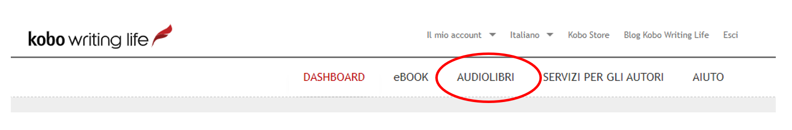 Nella dashboard, in alto a destra, dopo quella relativa agli ebook, si trova la dicitura Audiolibri 