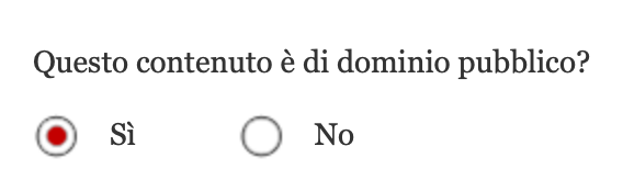 Immagine della sezione Descrivi il tuo ebook nel quale si trova l'esplicita domanda Questo contenuto è di dominio pubblico? e sotto c'è la possibilità di scegliere fra la risposta sì e la risposta no