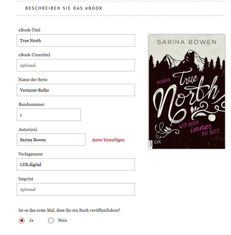 Das Bild zeigt eine E-Book-Seite, auf der Informationen über das E-Book während der Veröffentlichung eingegeben werden können, einschließlich des Seriennamens und der Nummer.